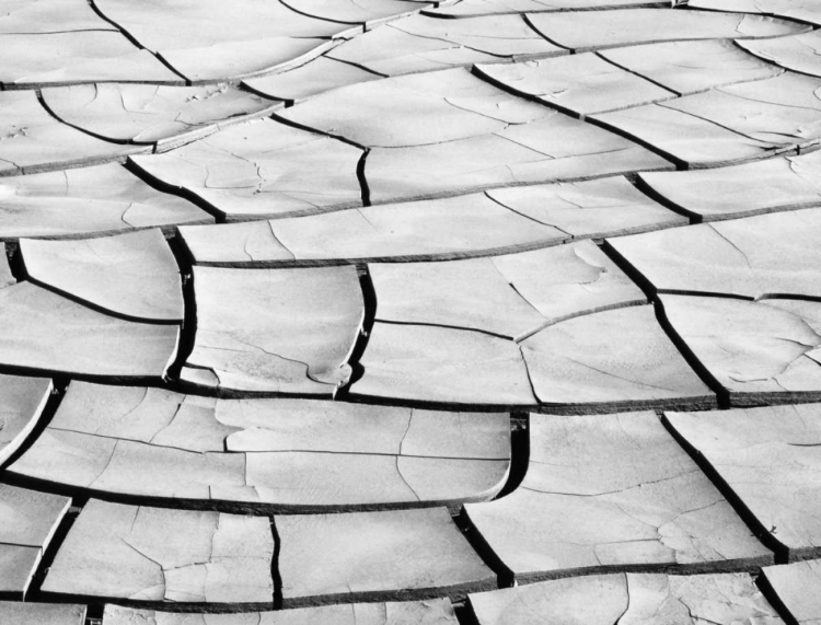Picture of CALIFORNIA, DEATH VALLEY PATTERNS IN DRIED MUD