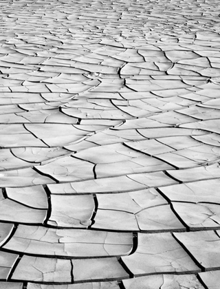 Picture of CALIFORNIA, DEATH VALLEY PATTERNS IN DRIED MUD