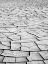 Picture of CALIFORNIA, DEATH VALLEY PATTERNS IN DRIED MUD