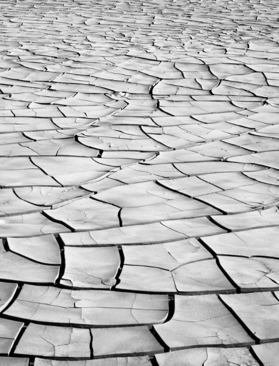 Picture of CALIFORNIA, DEATH VALLEY PATTERNS IN DRIED MUD