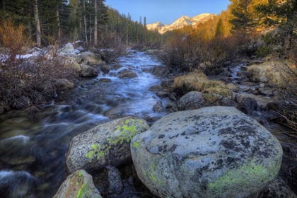 Picture of CALIFORNIA, SIERRA NEVADA ROCK CREEK LANDSCAPE