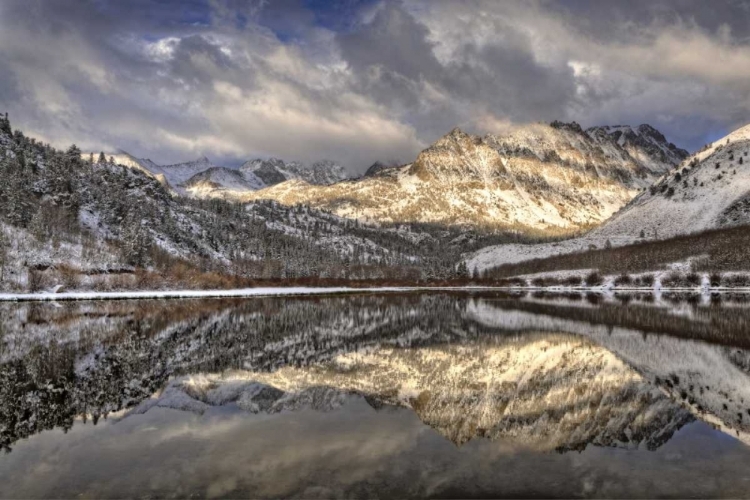 Picture of CALIFORNIA, SIERRA NEVADA SPRING AT NORTH LAKE