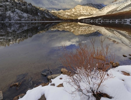 Picture of CALIFORNIA, SIERRA NEVADA SPRING AT NORTH LAKE