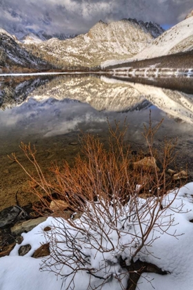 Picture of CALIFORNIA, SIERRA NEVADA SPRING AT NORTH LAKE