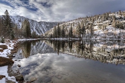 Picture of CALIFORNIA, SIERRA NEVADA SPRING AT NORTH LAKE