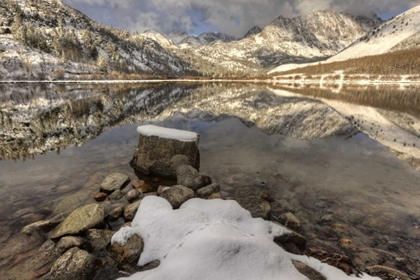 Picture of CALIFORNIA, SIERRA NEVADA SPRING AT NORTH LAKE