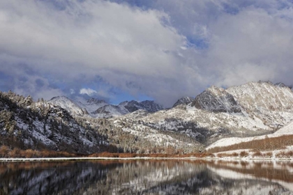 Picture of CALIFORNIA, SIERRA NEVADA SPRING AT NORTH LAKE