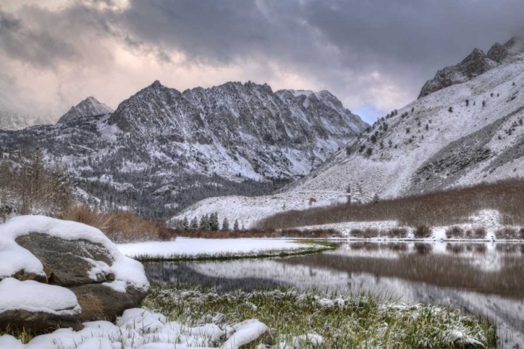 Picture of CALIFORNIA, SIERRA NEVADA SPRING AT NORTH LAKE