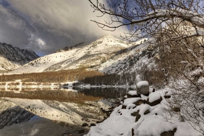 Picture of CALIFORNIA, SIERRA NEVADA SPRING AT NORTH LAKE