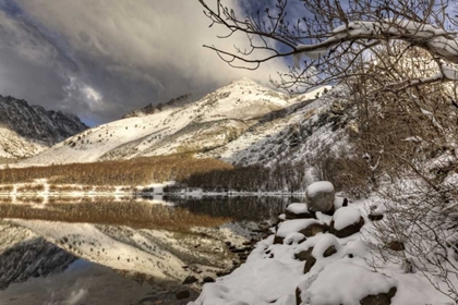 Picture of CALIFORNIA, SIERRA NEVADA SPRING AT NORTH LAKE