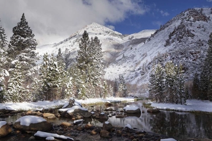 Picture of CALIFORNIA, SIERRA NEVADA SPRING AT NORTH LAKE