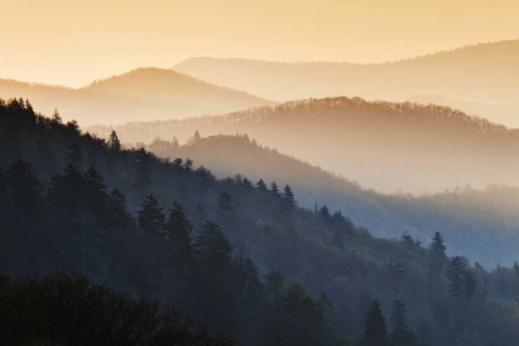 Picture of NORTH CAROLINA OCONALUFTEE OVERLOOK AT SUNRISE