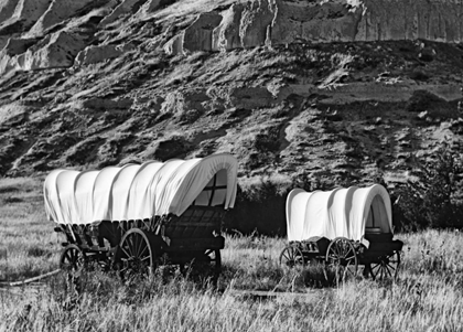 Picture of NEBRASKA, SCOTTS BLUFF COVERED WAGONS IN FIELD