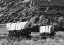 Picture of NEBRASKA, SCOTTS BLUFF COVERED WAGONS IN FIELD