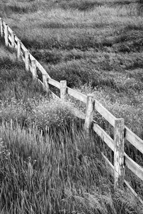 Picture of WASHINGTON WOODEN FENCE IN THE PALOUSE COUNTRY