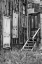 Picture of COLORADO, ST ELMO WEATHERED DOORS IN BUILDING