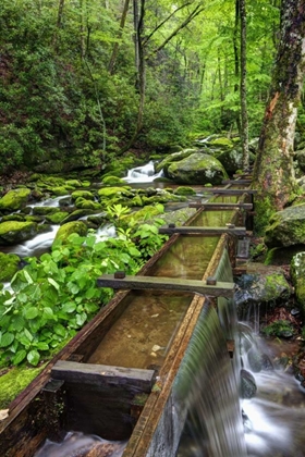 Picture of TN, GREAT SMOKY MTS VIEW OF THE TUB MILL FLUME