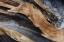 Picture of CA, WHITE MTS TRUNK OF A BRISTLECONE PINE TREE