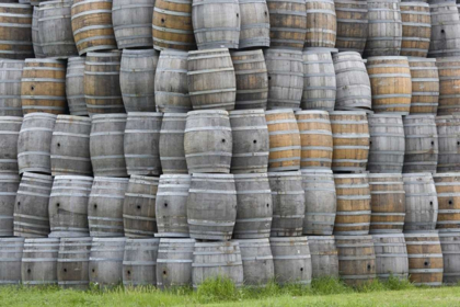 Picture of CA, SAN LUIS OBISPO CO, STACKS OF WINE BARRELS