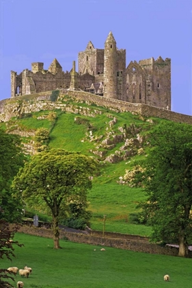 Picture of IRELAND, CO TIPPERARY ROCK OF CASHEL FORTRESS