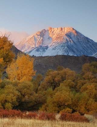 Picture of CA, SIERRA NEVADA, OWENS VALLEY BASIN MOUNTAIN