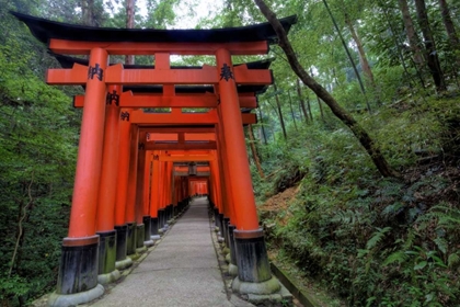 Picture of JAPAN, KYOTO, FUSHIMI-INARI-TAISHA TORII GATES