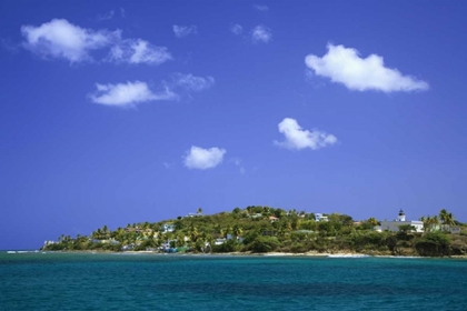 Picture of PUERTO RICO, VIEGUES ISL BAY AT ISABEL SEGUNDA