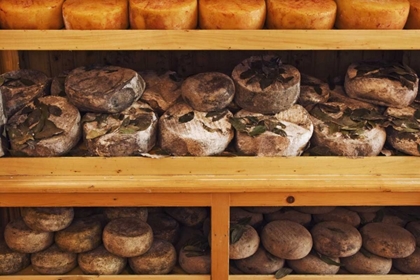 Picture of ITALY, TUSCANY, PIENZA ITALIAN CHEESE FOR SALE