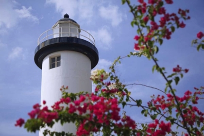 Picture of PUERTO RICO, VIEGUES ISLAND COASTAL LIGHTHOUSE
