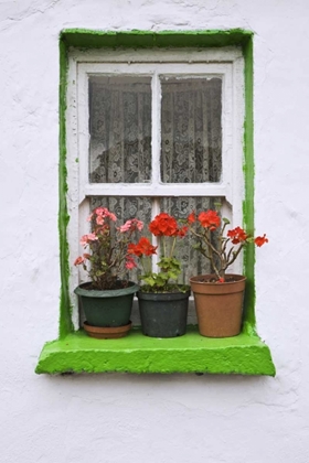 Picture of IRELAND, CASHEL POTTED FLOWERS ON A WINDOW SILL