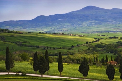 Picture of ITALY, TUSCANY SCENIC OF THE TUSCAN COUNTRYSIDE