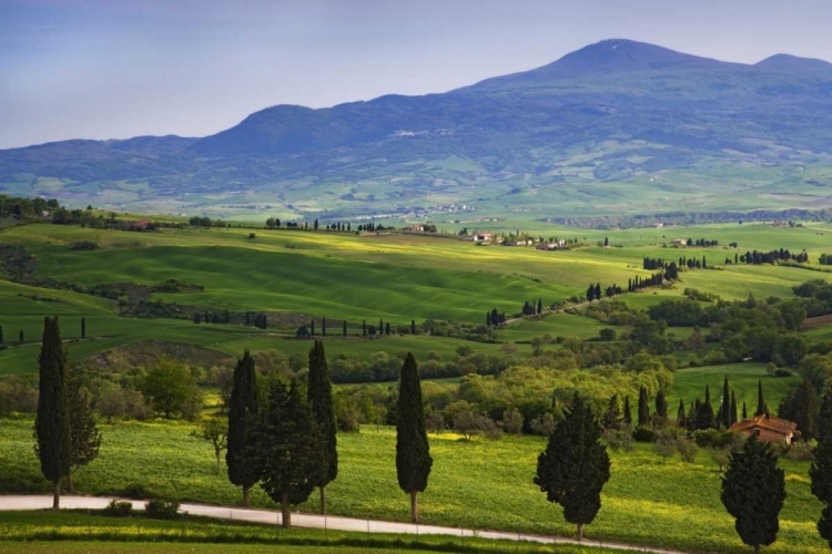 Picture of ITALY, TUSCANY SCENIC OF THE TUSCAN COUNTRYSIDE