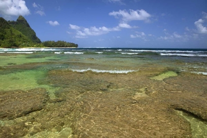 Picture of HAWAII, KAUAI CORAL FORMATIONS ON TUNNELS BEACH