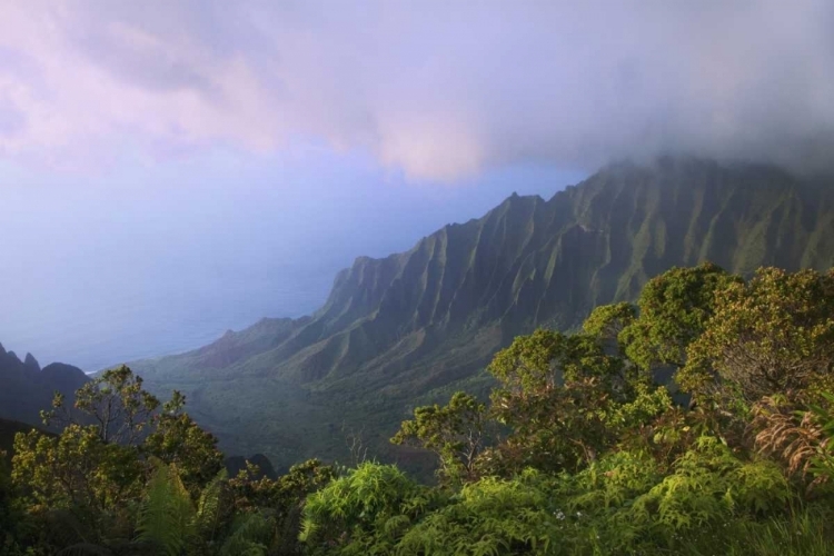 Picture of HAWAII, KAUAI KALALAU OVERLOOK OF NA PALI COAST