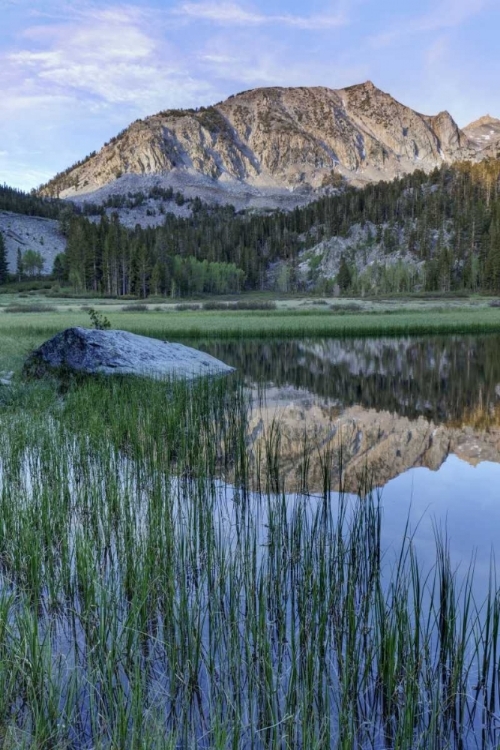 Picture of CALIFORNIA, SIERRA NEVADA GRASS LAKE REFLECTION