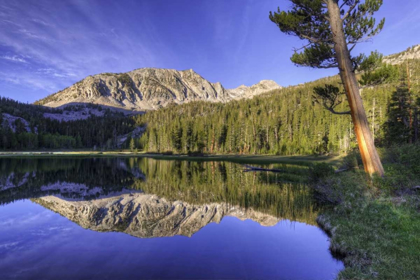 Picture of CALIFORNIA, SIERRA NEVADA GRASS LAKE REFLECTION