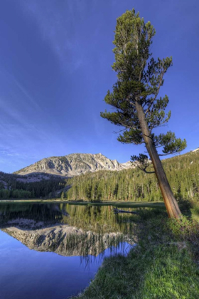 Picture of CALIFORNIA, SIERRA NEVADA GRASS LAKE REFLECTION