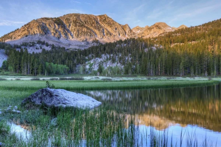 Picture of CALIFORNIA, SIERRA NEVADA GRASS LAKE REFLECTION