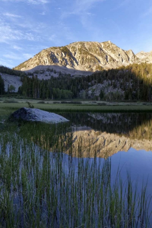 Picture of CALIFORNIA, SIERRA NEVADA GRASS LAKE REFLECTION