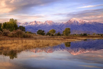 Picture of CALIFORNIA, BISHOP SIERRA MTS FROM FARMERS POND