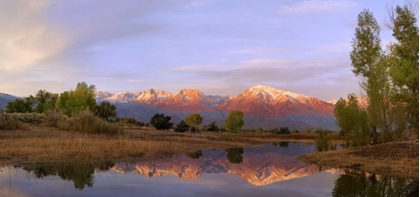 Picture of CALIFORNIA, BISHOP SIERRA MTS FROM FARMERS POND