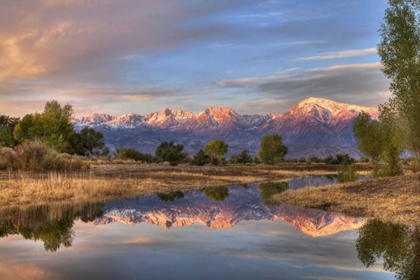 Picture of CALIFORNIA, BISHOP SIERRA MTS FROM FARMERS POND