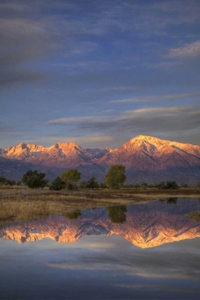 Picture of CALIFORNIA, BISHOP SIERRA MTS FROM FARMERS POND
