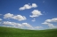 Picture of WASHINGTON, PALOUSE GREEN WHEAT FIELD LANDSCAPE