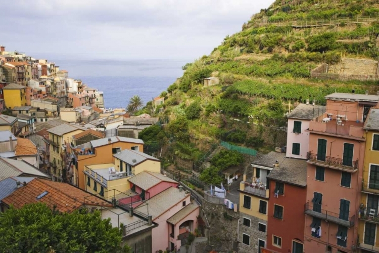 Picture of HILLSIDE VILLAGE OF MANAROLA-CINQUE TERRE, ITALY