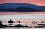Picture of CA, PREDAWN LIGHT AT MONO LAKE SILHOUETTES TUFAS