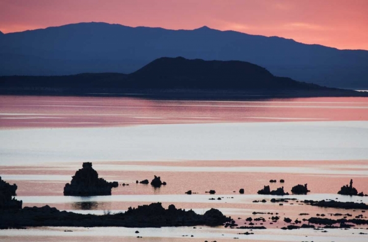 Picture of CA, PREDAWN LIGHT AT MONO LAKE SILHOUETTES TUFAS