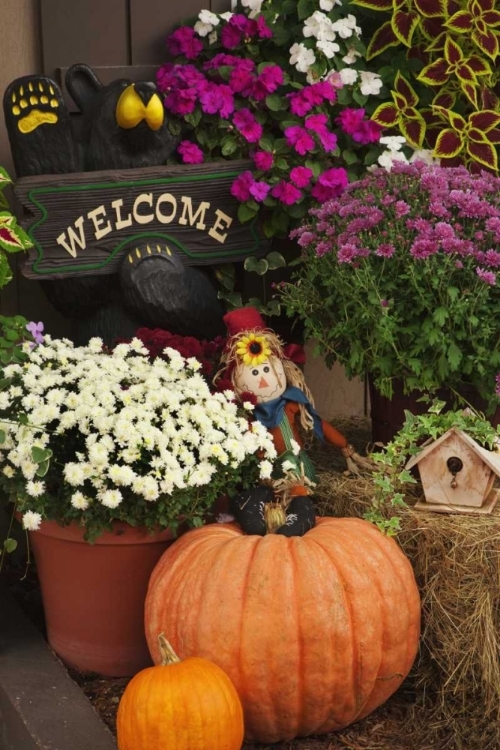 Picture of NH, WHITE MTS AUTUMN DECORATIONS IN STORE FRONT