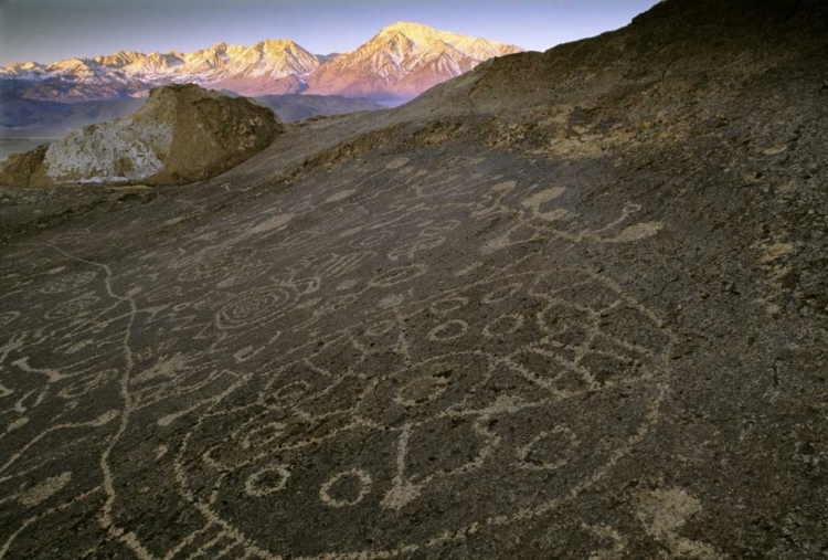 Picture of NEVADA  SIERRA NEVADA, GREAT BASIN, PETROGLYPHS