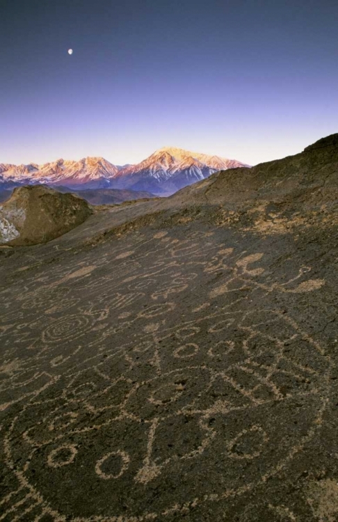 Picture of NEVADA  SIERRA NEVADA, GREAT BASIN, PETROGLYPHS